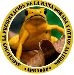 Asociación para la Preservación de la Rana Dorada y otros Anfibios en Panamá