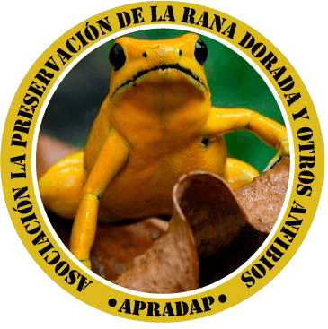 Asociación para la Preservación de la Rana Dorada y otros Anfibios en Panamá